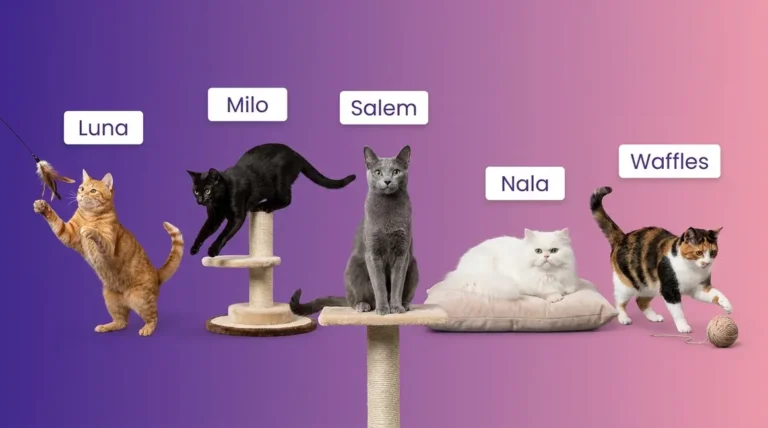 Collection of five cats with popular cat names Luna, Milo, Salem, Nala, and Waffles on purple-pink gradient