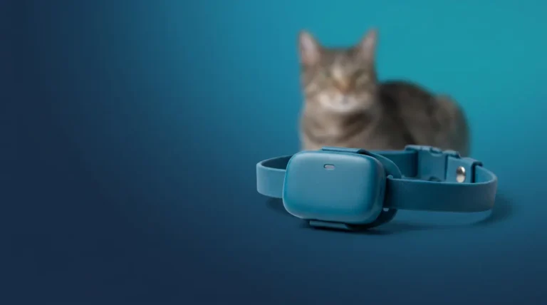 Tractive Cat GPS Tracker attached to breakaway collar for real-world review testing