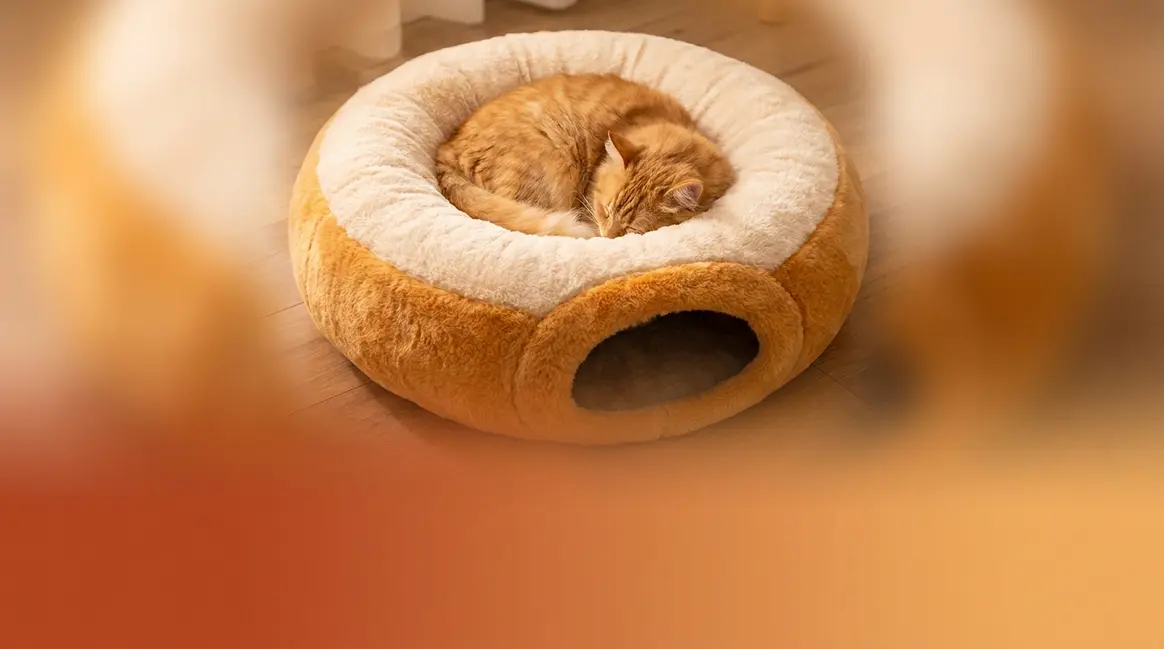 Bubblepup cat bed review showing a tabby cat curled inside a donut tunnel bed