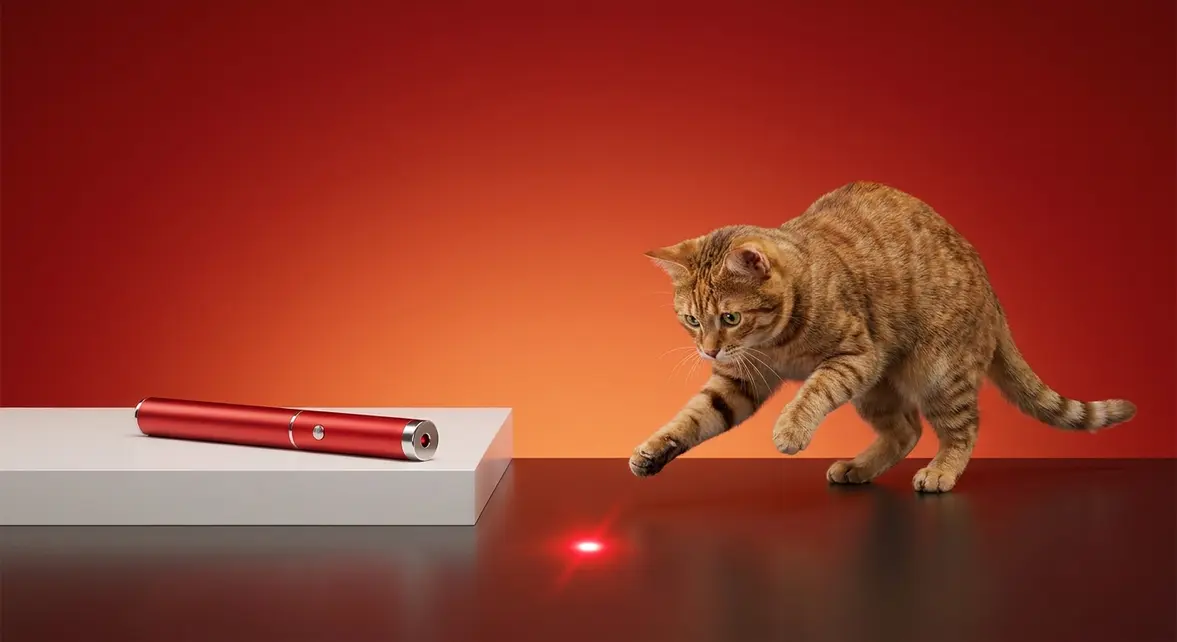 Best Laser Pointer for Cats: 6 Tested Picks (2026)